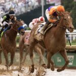 Kopion - Barbara D. Livingston - Daily Racing Form