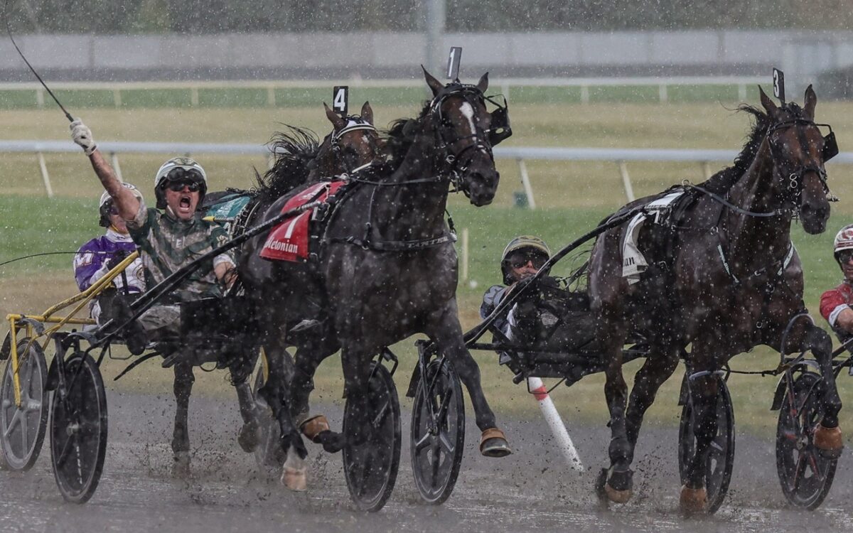 Karl, ganador del Hambletonian en 2024 – Foto: Mike Lizzi / DRF Harness