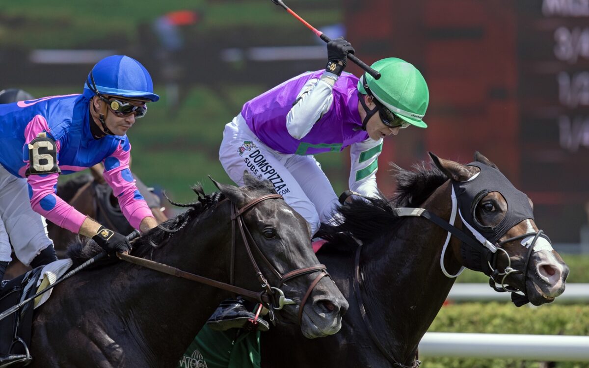 Leon Blue - Barbara D. Livingston - Daily Racing Form
