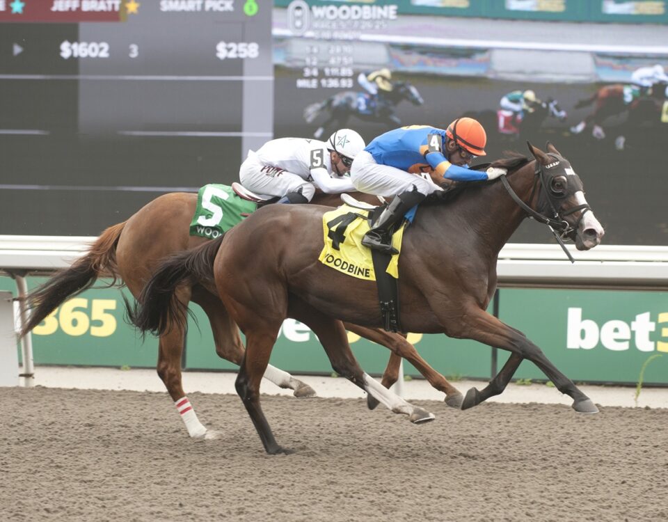 Literate - Trillium Stakes G3 - Michael Burns Photo