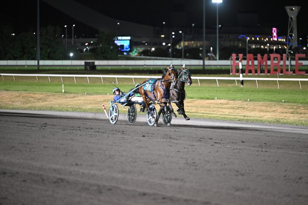 Madden Oaks - Meadowlands Pace - Jessica Hallett/DRF Harness photo