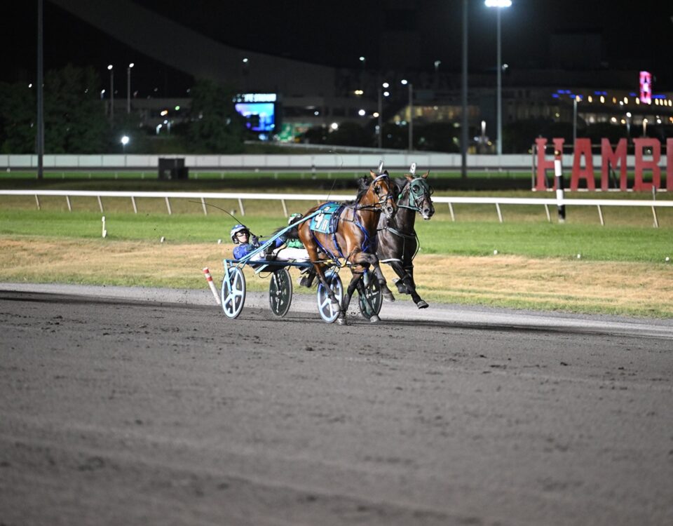 Madden Oaks - Meadowlands Pace - Jessica Hallett/DRF Harness photo
