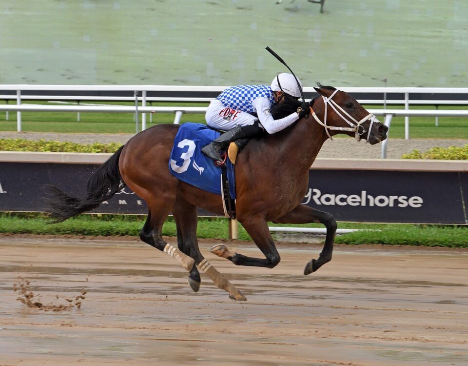 Mati Gol - Carry Back Stakes - Ryan Thompson/Coglianese Photo