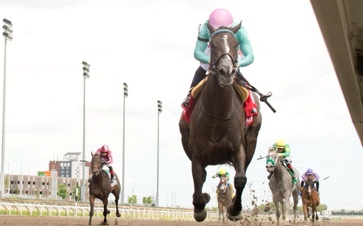Michael Burns Woodbine
