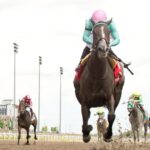 Michael Burns Woodbine