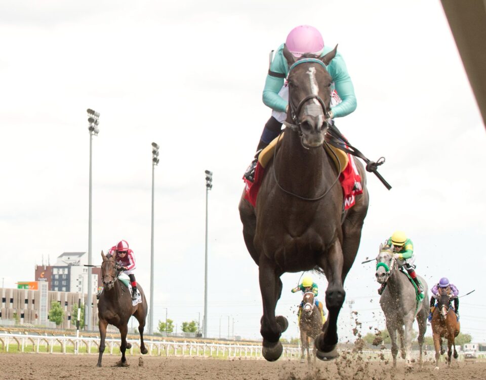 Michael Burns Woodbine