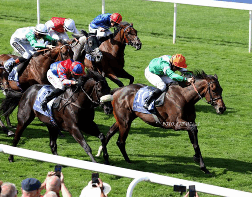 NO HALF MEASURES (July Cup Grupo 1) - Foto Pat Healy
