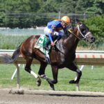 Neoequos - Jersey Shore Stakes - Bill Denver/EQUI-PHOTO