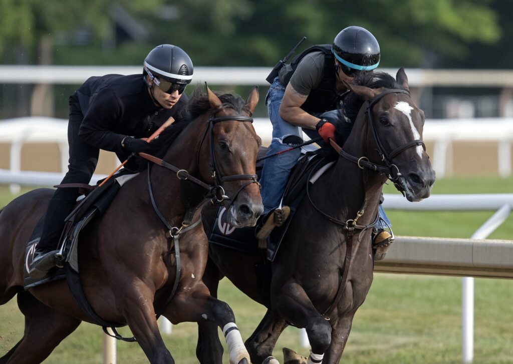 Nymue -parte interna- Foto Barbara D. Livingston - Daily Racing Form