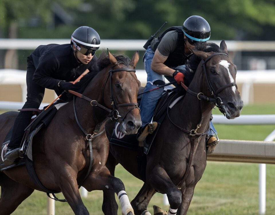 Nymue -parte interna- Foto Barbara D. Livingston - Daily Racing Form