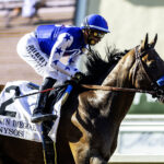 Nysos - San Diego Handicap G2 - Del Mar, CA. - Benoit Photo