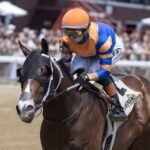 Obliteration - Sanford Stakes - Barbara D Livingston - Daily Racing Form