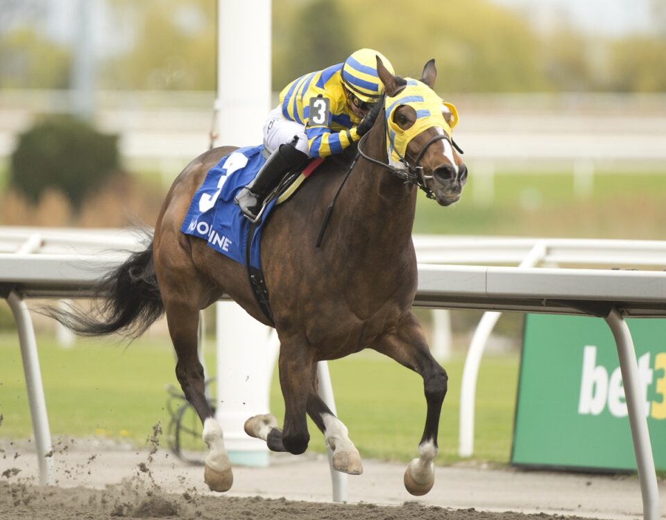 Patches O'Houlihan - Michael Burns Photo