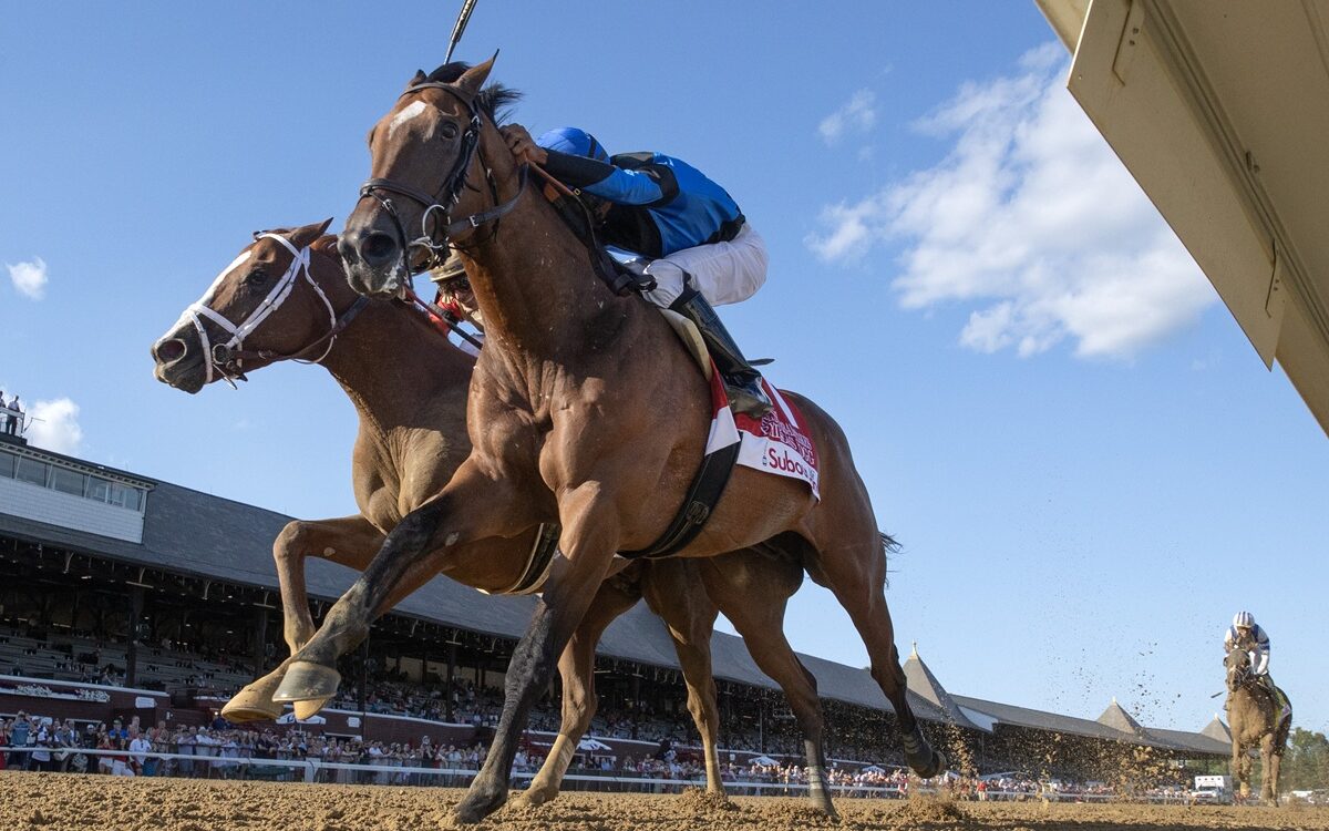 Phileas Fogg - Barbara D. Livingston - Daily Racing Form