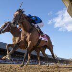 Phileas Fogg - Barbara D. Livingston - Daily Racing Form