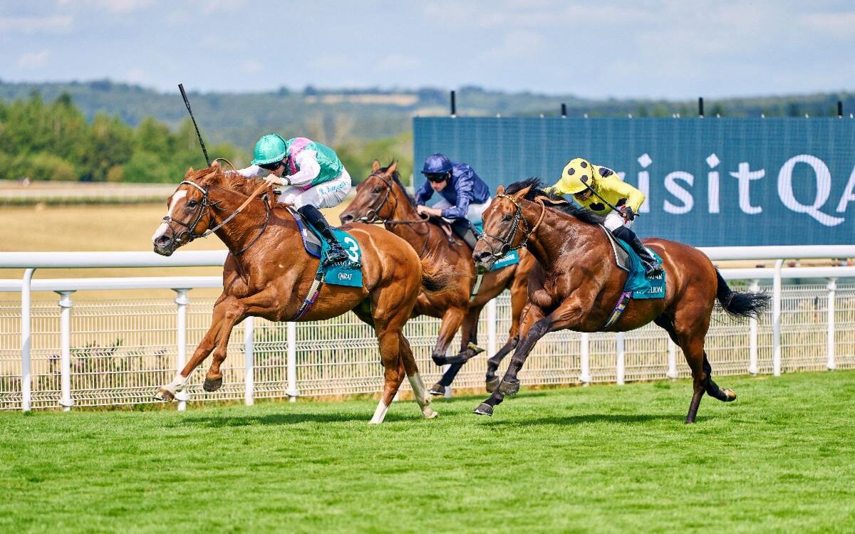 Qirat - Sussex Stakes - credit: Goodwood Racecourse