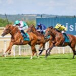 Qirat - Sussex Stakes - credit: Goodwood Racecourse