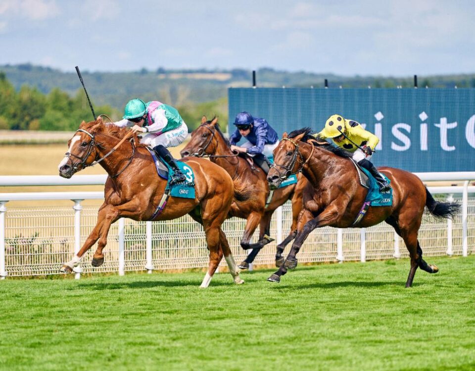 Qirat - Sussex Stakes - credit: Goodwood Racecourse