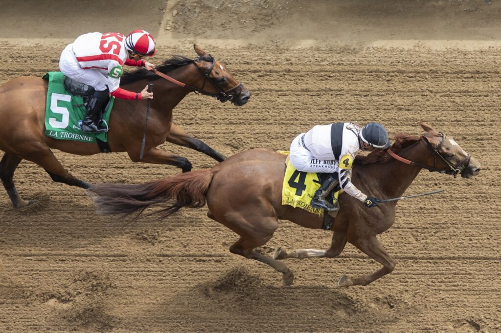 Raging Sea - Foto: Justin Lane - Daily Racing Form