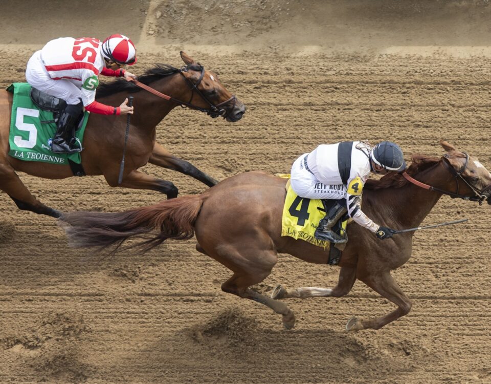 Raging Sea - Foto: Justin Lane - Daily Racing Form