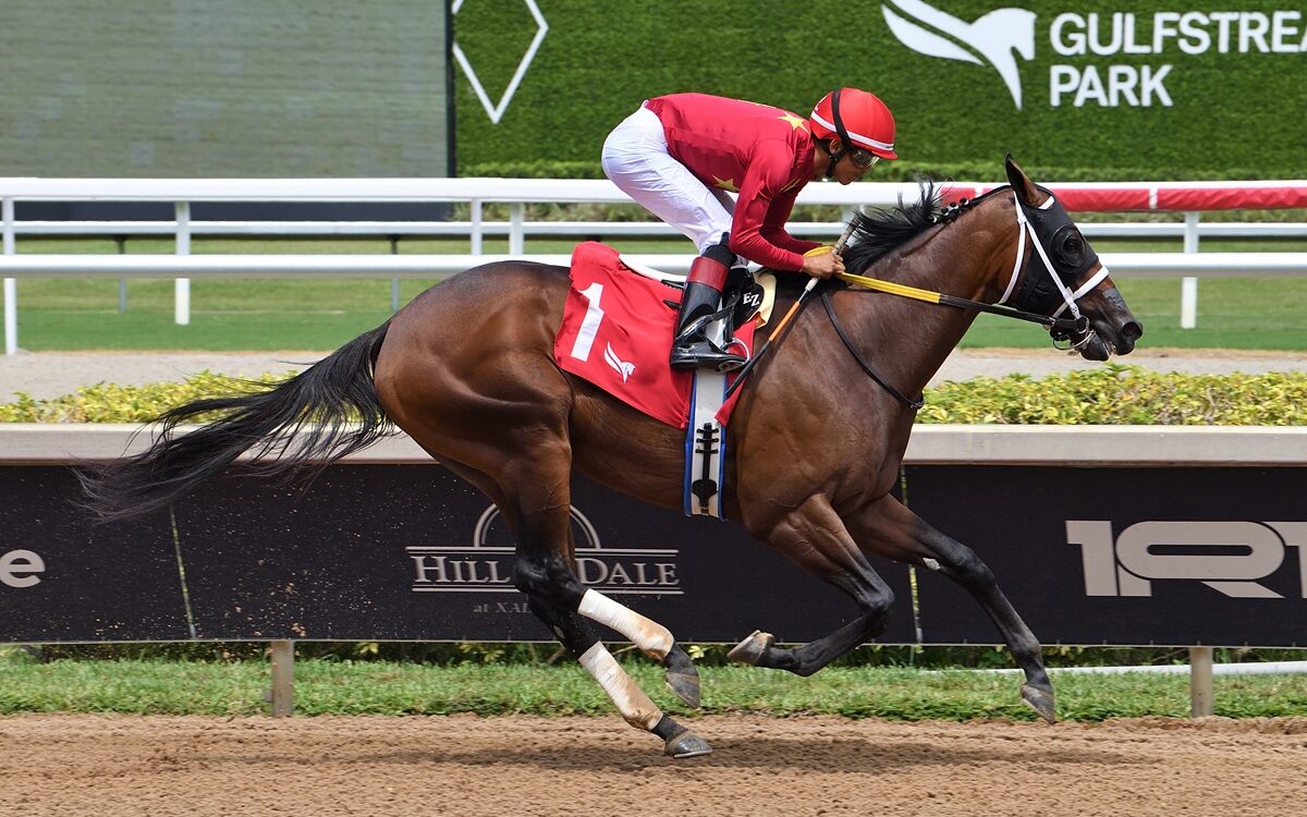 Roar of the Beast / Edgard Zayas - Saffie Joseph Jr. / Photo: Ryan Thompson Coglianese Photo
