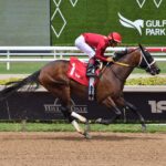 Roar of the Beast / Edgard Zayas - Saffie Joseph Jr. / Photo: Ryan Thompson Coglianese Photo