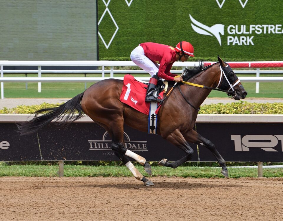 Roar of the Beast / Edgard Zayas - Saffie Joseph Jr. / Photo: Ryan Thompson Coglianese Photo
