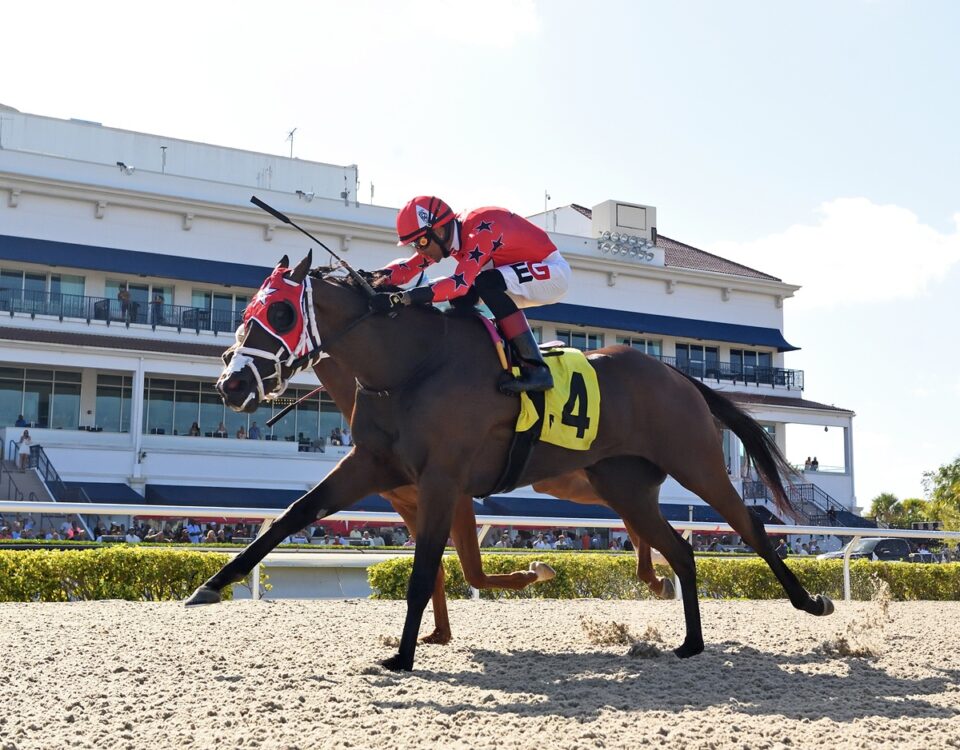 Scarlet Sands the Miss Gracie credit Ryan Thompson / Coglianese Photo