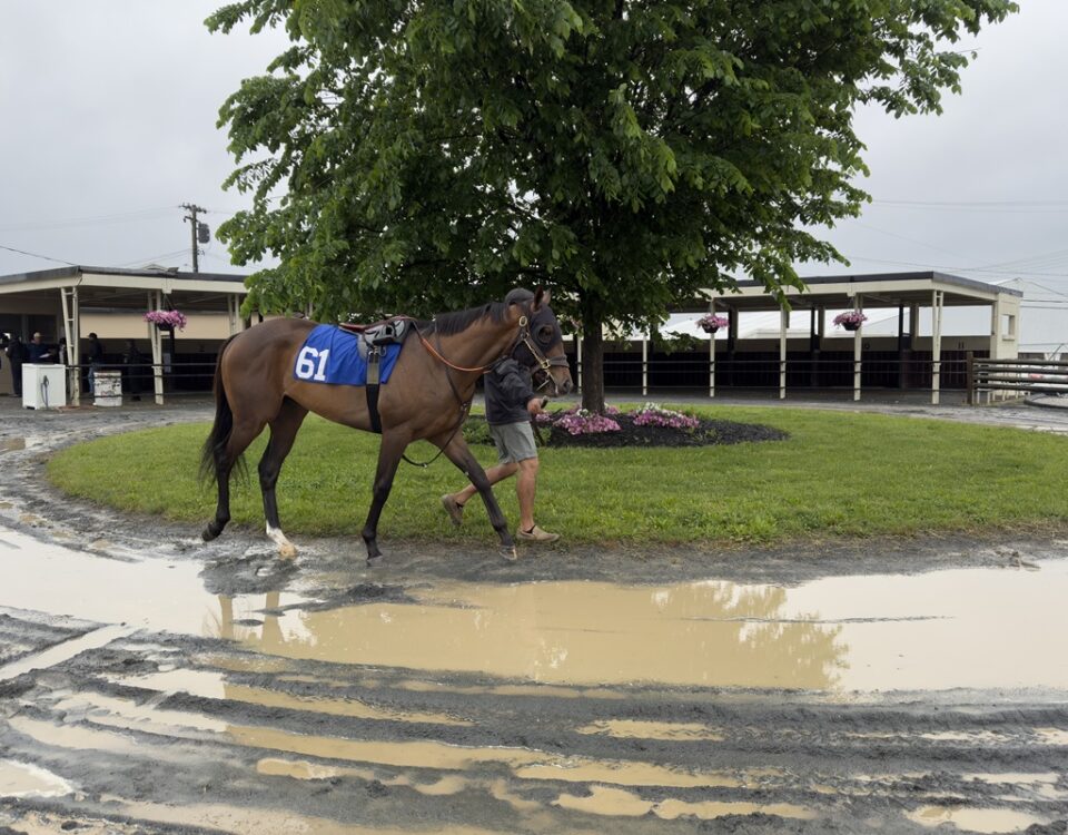 2025 Fasig-Tipton 2 Year-Olds in Traing Sale, Timonium, MD
