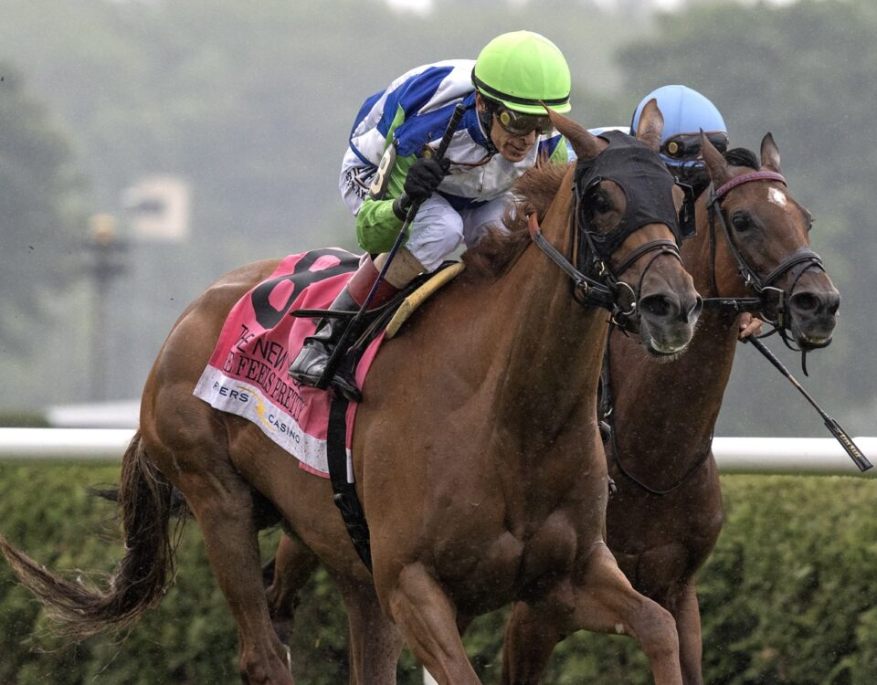 She Feels Pretty - Foto: Barbara D. Livingston / Daily Racing Form