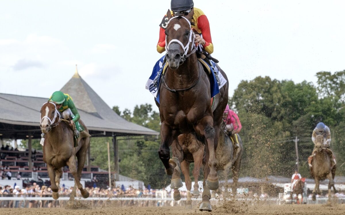 Smoken Wicked - Amsterdam Stakes G2 - Barbara D Livingston - Daily Racing Form