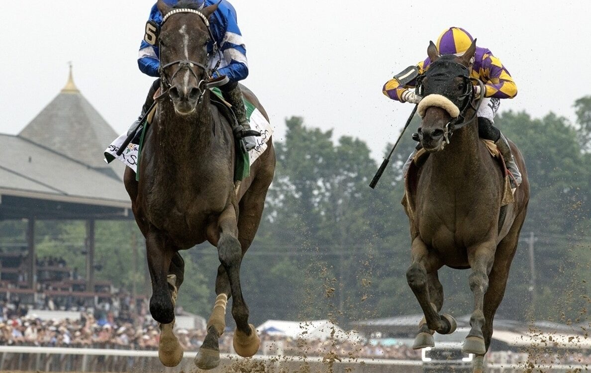 Sovereignty - Barbara D. Livingston - Daily Racing Form