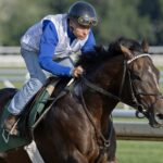 Sovereignty - Barbara D. Livingston / Daily Racing Form