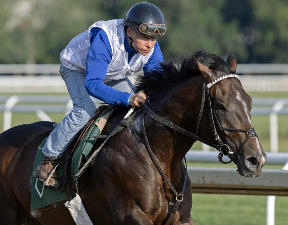 Sovereignty - Barbara D. Livingston / Daily Racing Form