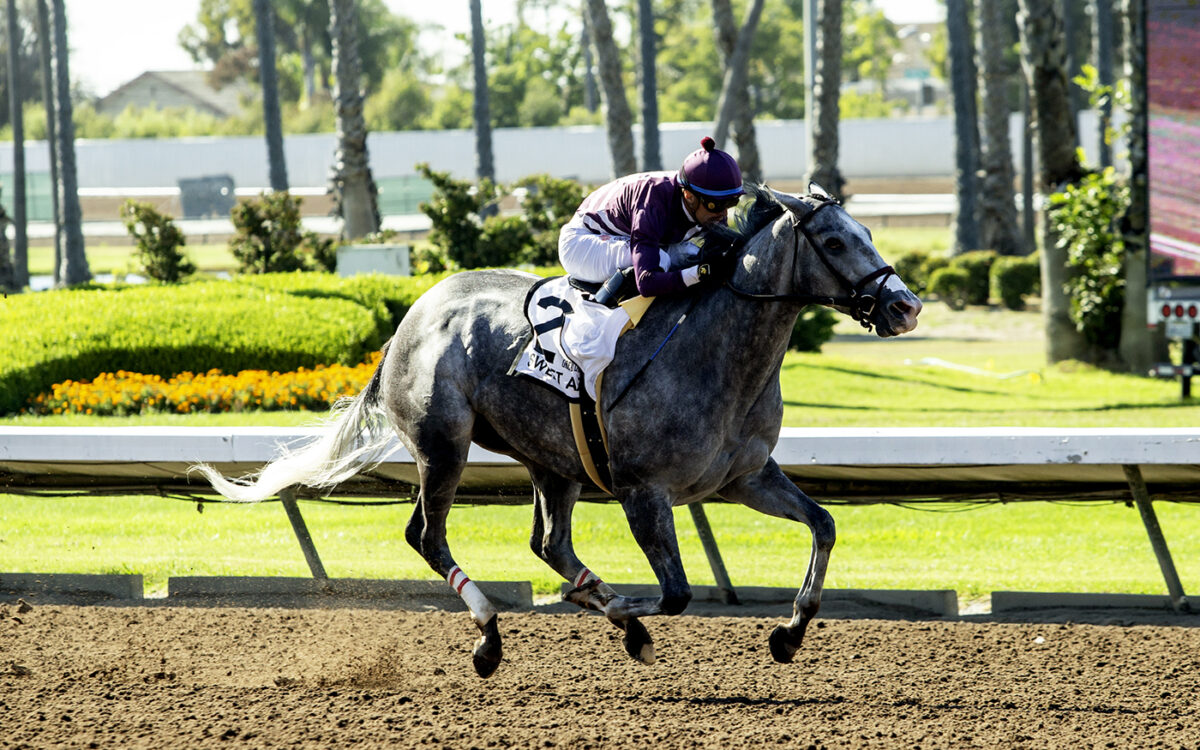 Sweet Azteca - GII $200,000 Great Lady M Stakes - Benoit Photo