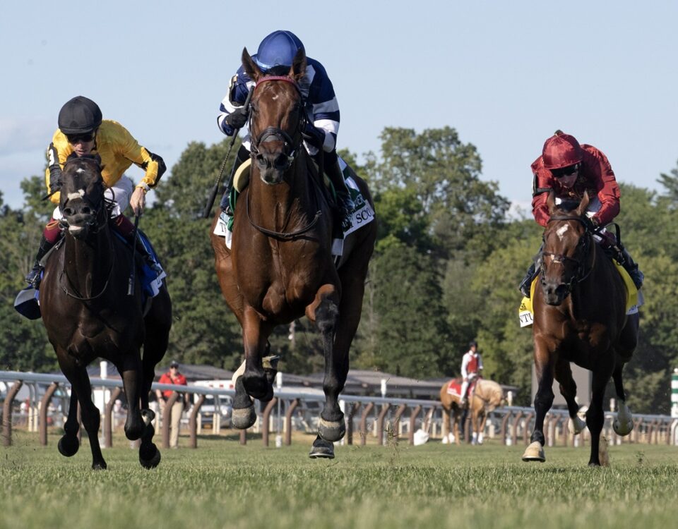 Test Score - Barbara D. Livingston - Daily Racing Form