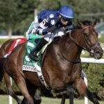Test Score - Barbara D. Livingston - Daily Racing Form