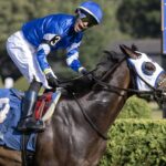 Think Big - Barbara D. Livingston / Daily Racing Form