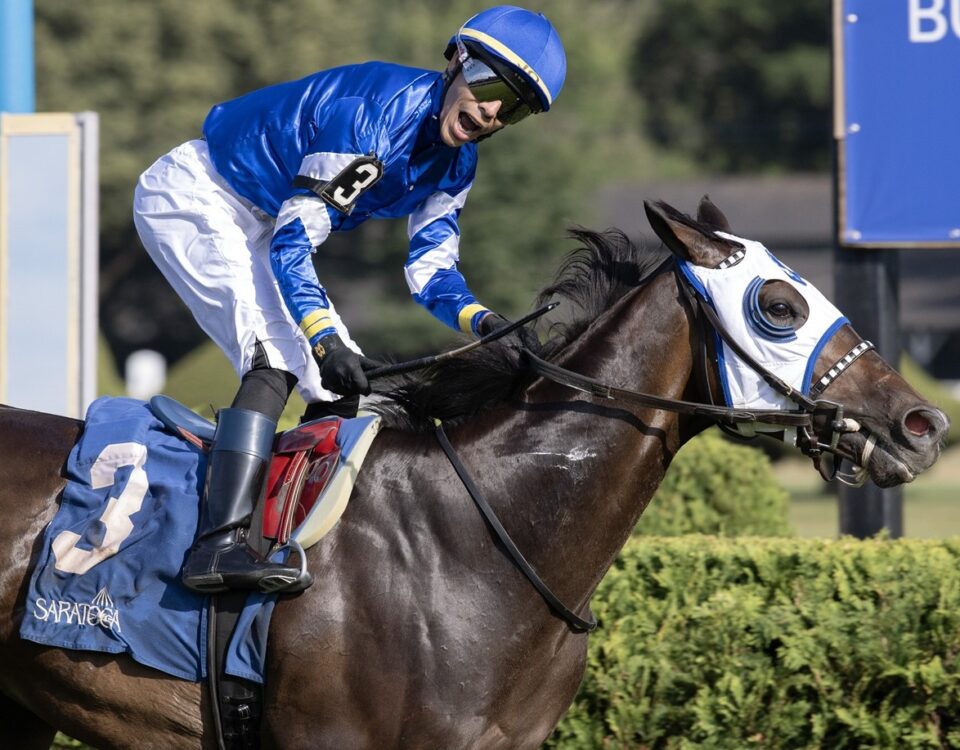 Think Big - Barbara D. Livingston / Daily Racing Form