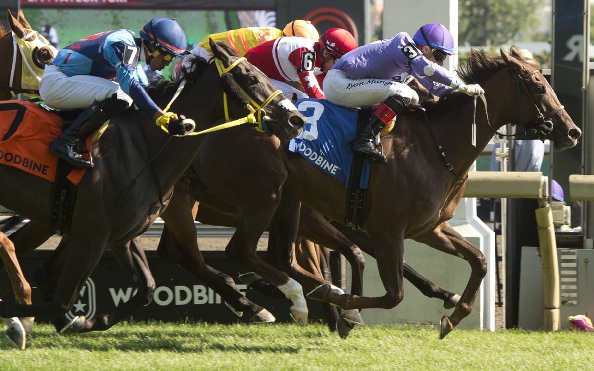 Toronto ON, July 27, 2025.Woodbine Racetrack.Jockey Ryan Munger guides Sweet Passions (Purple silks #3) to victory in the $100,000 dollar Thunder Bay Stakes.Sweet Passions is owned by The Estate of Paul M. Buttigieg and trainer Richard Hayashi. Woodbine/ Michael Burns Photo