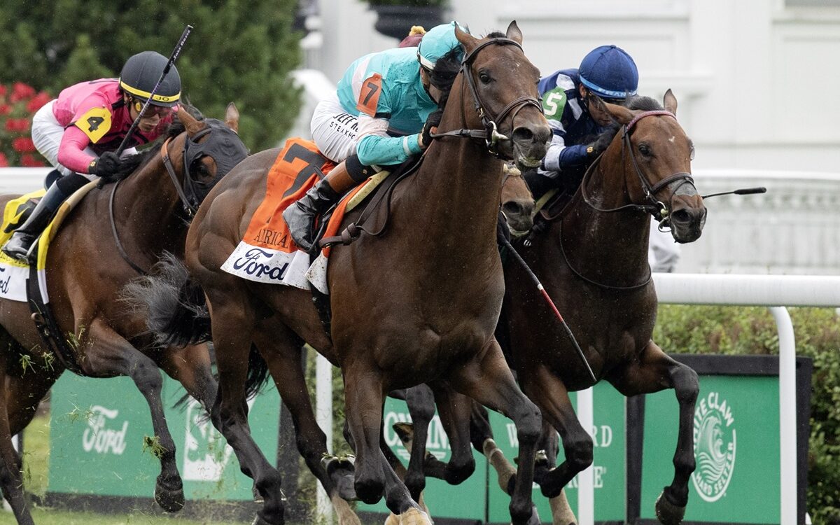 Zulu Kingdom - Barbara D. Livingston - Daily Racing Form