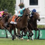 Zulu Kingdom - Barbara D. Livingston - Daily Racing Form
