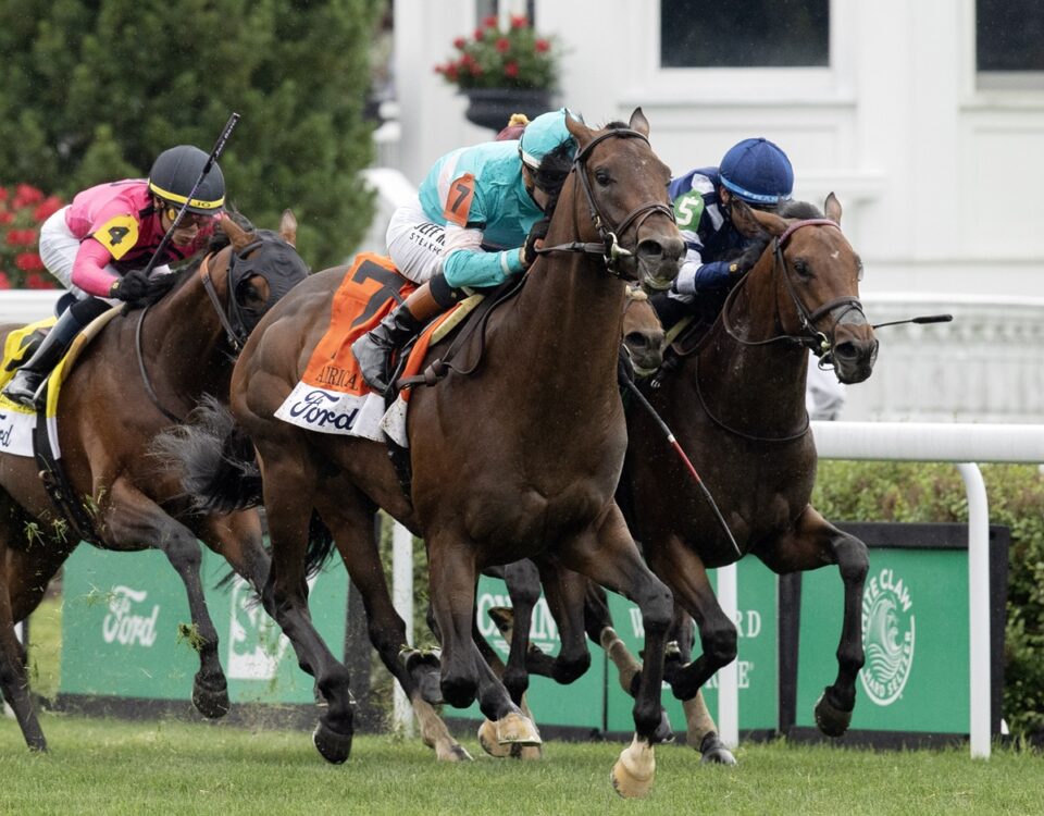 Zulu Kingdom - Barbara D. Livingston - Daily Racing Form