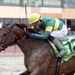 Retribution - PTHA President's Sprint - Parx Racing - Photo by Bill Denver/EQUI-PHOTO.
