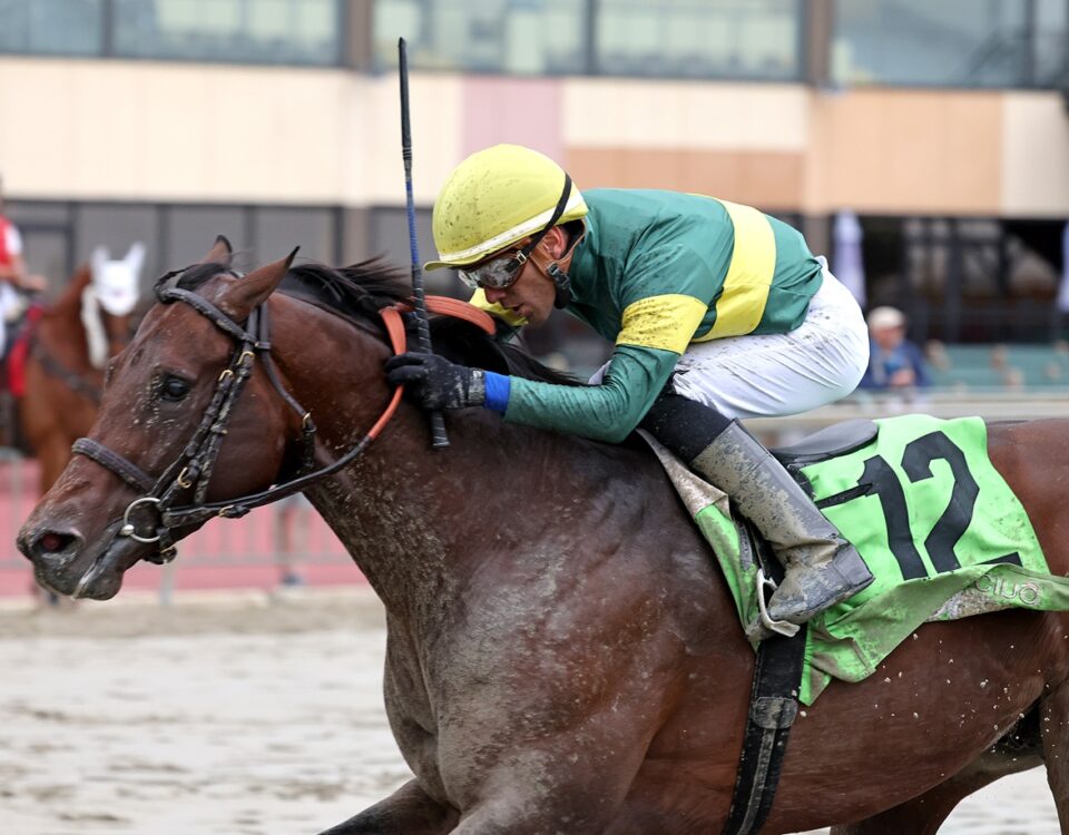 Retribution - PTHA President's Sprint - Parx Racing - Photo by Bill Denver/EQUI-PHOTO.