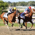 Tip Top Thomas - Smarty Jones Stakes - Parx Racing - Nikki Sherman/EQUI-PHOTO