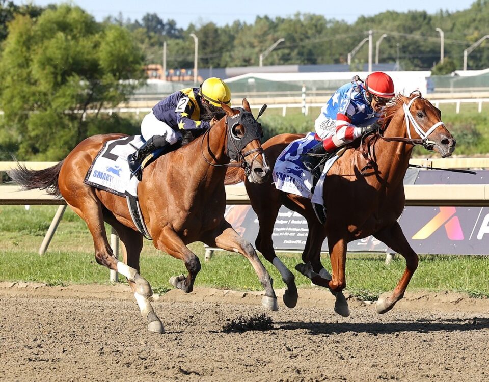 Tip Top Thomas - Smarty Jones Stakes - Parx Racing - Nikki Sherman/EQUI-PHOTO