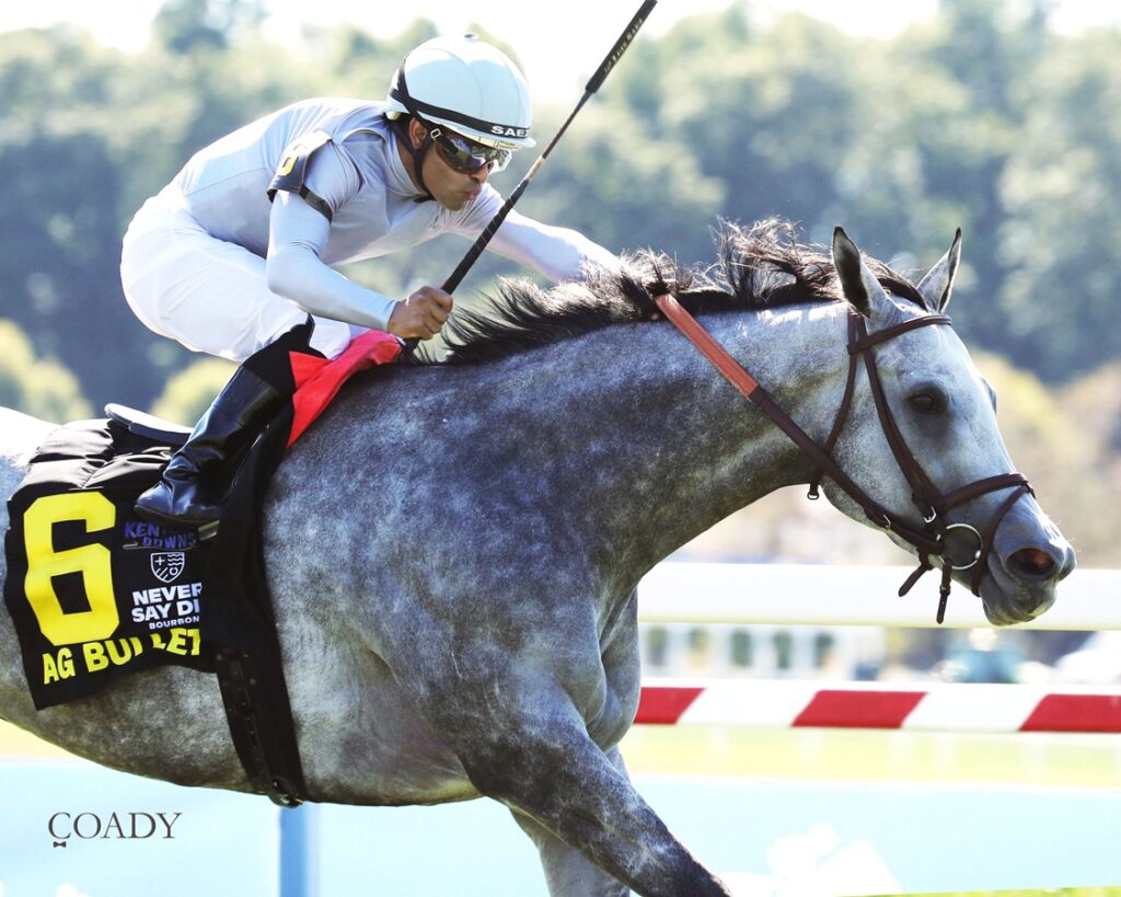 Ag Bullet - Ladies Turf Sprint G2 - Coady Media