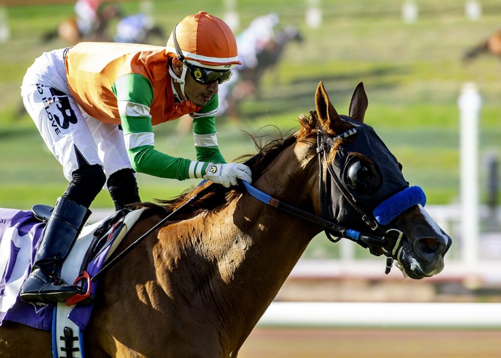Alpha Bella - Del Mar CTT and TOC - Benoit Photo
