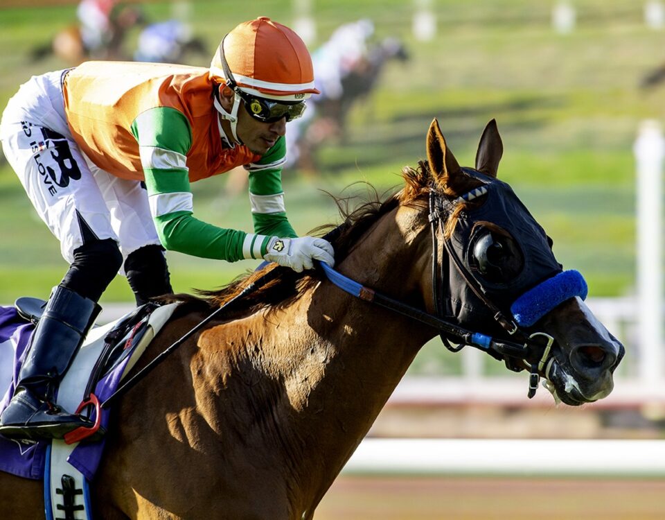 Alpha Bella - Del Mar CTT and TOC - Benoit Photo